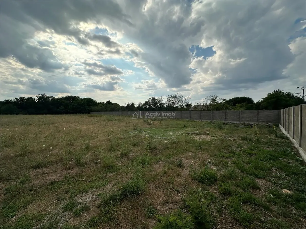 Land for rent 8.500 sqm in Bocsa, Exterior Est area - foto 10