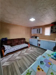 Casa renovata in Branceni -str Dunarii - foto 10