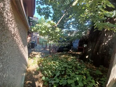 Vanzare Teren Rahova- Muntii Carpati - foto 13