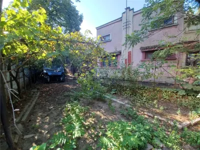 Vanzare Teren Rahova- Muntii Carpati - foto 6