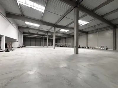 Hala Industriala Noua 2025 – 7000 mp - Acces Rapid la Autostrada - foto 12