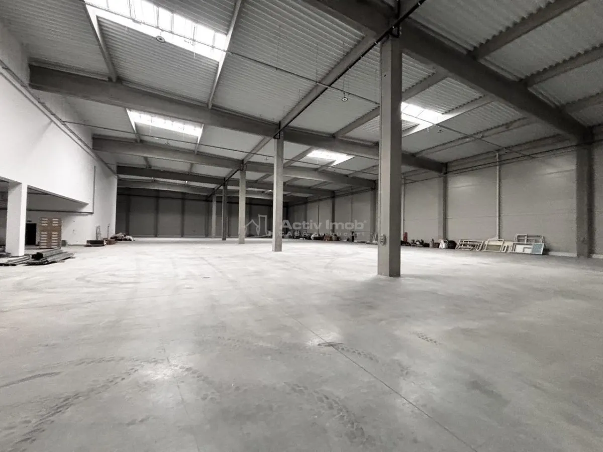Hala Industriala Noua 2025 – 7000 mp - Acces Rapid la Autostrada - foto 12
