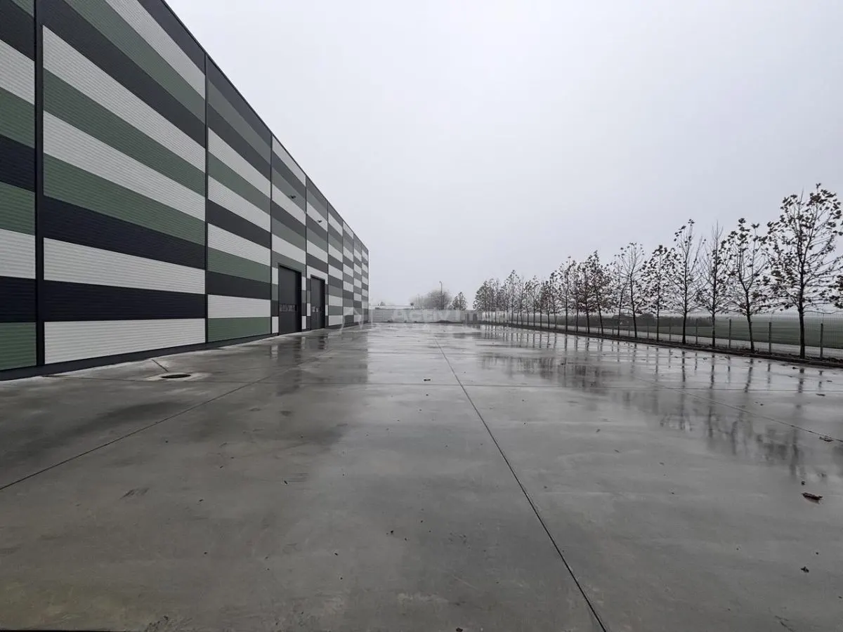 Hala Industriala Noua 2025 – 7000 mp - Acces Rapid la Autostrada - foto 4