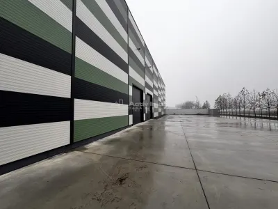 Hala Industriala Noua 2025 – 7000 mp - Acces Rapid la Autostrada - foto 5
