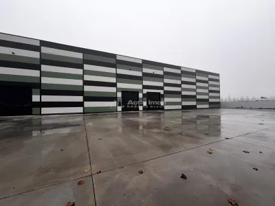 Hala Industriala Noua 2025 – 7000 mp - Acces Rapid la Autostrada - foto 6