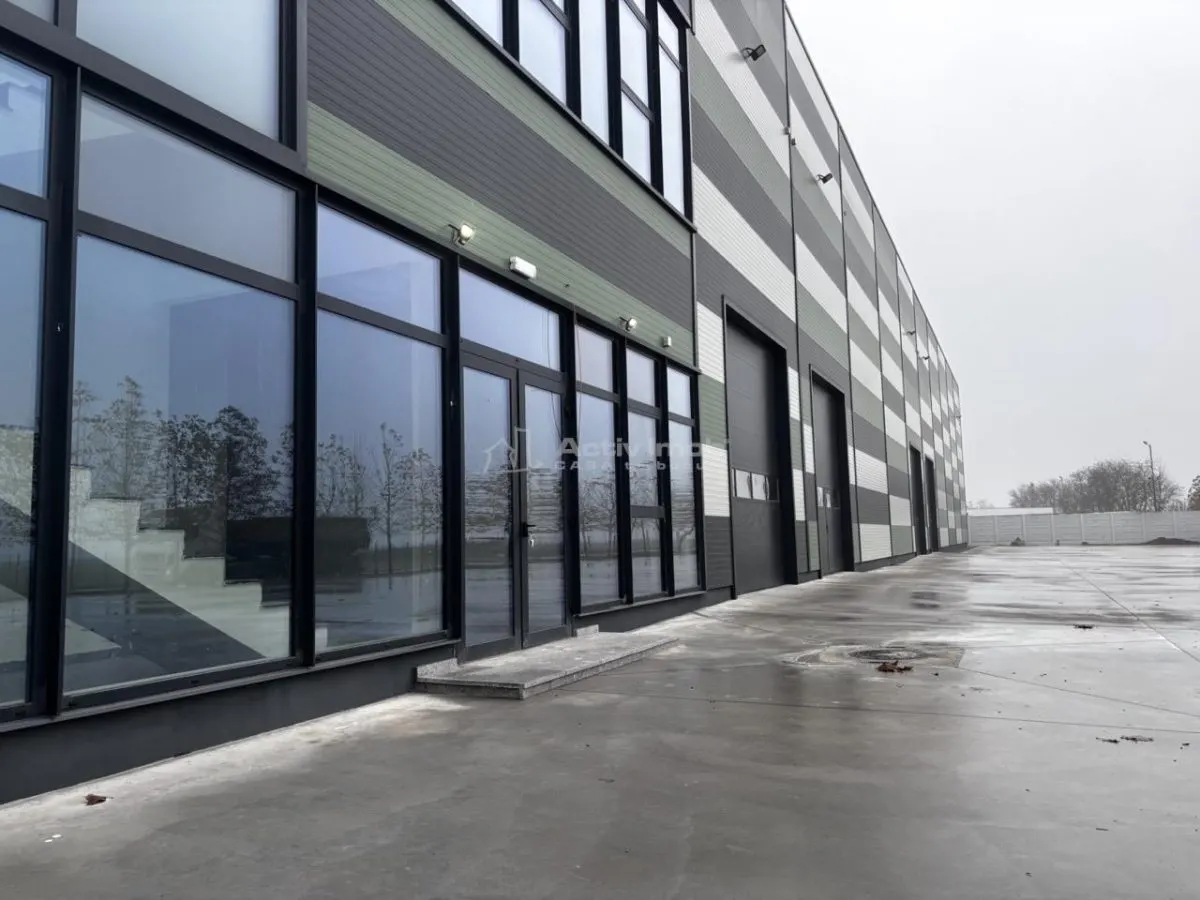 Hala Industriala Noua 2025 – 7000 mp - Acces Rapid la Autostrada - foto 10
