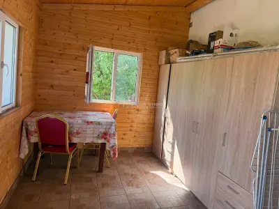 Casa P+M - 4 camere - Magurele - foto 8