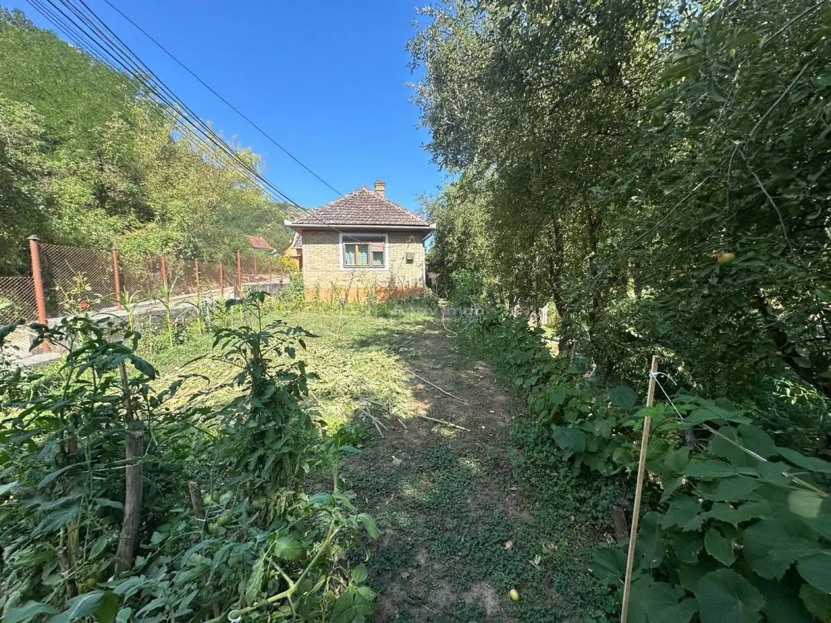 博克萨山区：迷人的度假屋或投资物业，风景秀丽的地段 - foto 21