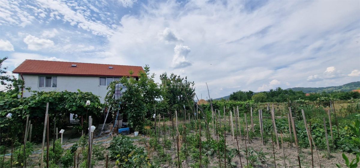 House / villa for sale sqm in Bocsa - foto 25