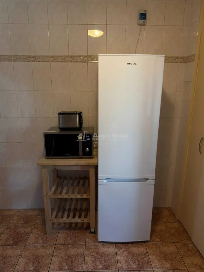 2 camere Viorele - Timpuri Noi - Tineretului - foto 6