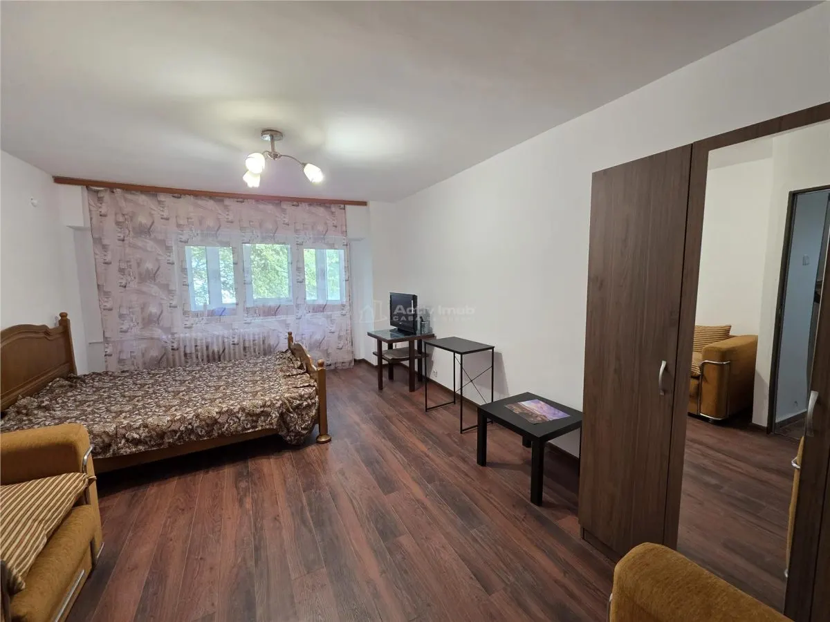 Garsoniera - Tineretului - Timpuri Noi - Radulescu Motru 3 - foto 2