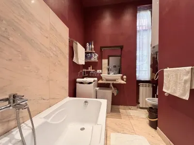 Apartament 2 camere ultracentral vizavi de teatru - foto 8