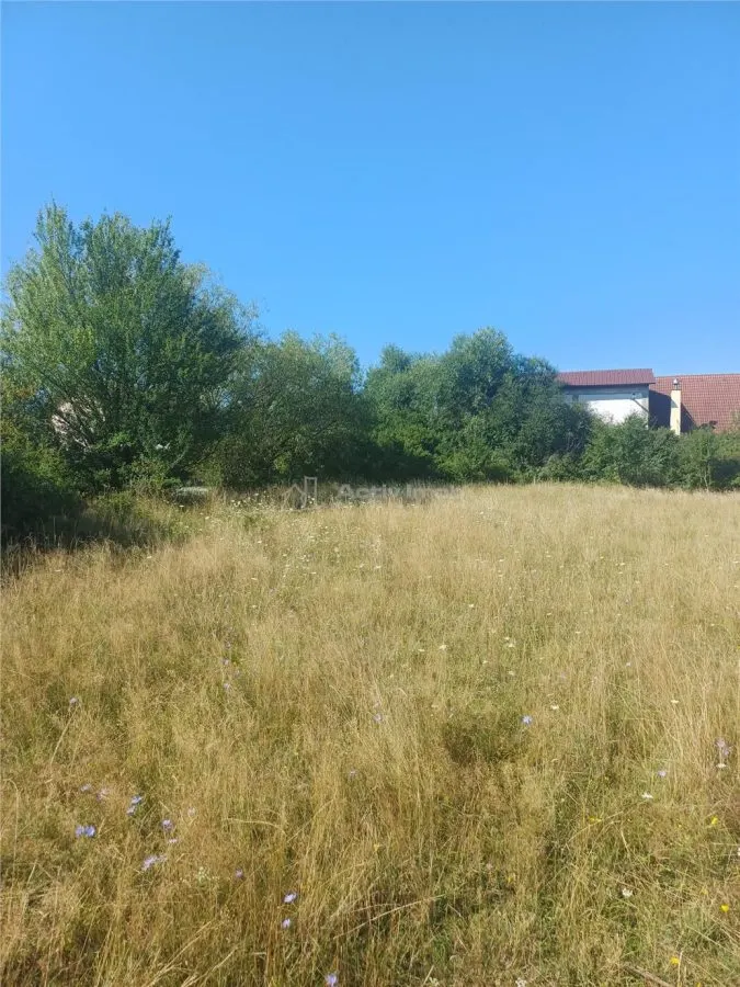 Teren intravilan de vanzare zona Magura Cisnadie - foto 6