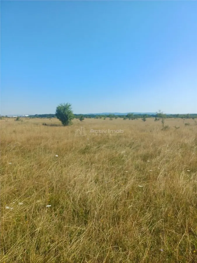 Teren intravilan de vanzare zona Magura Cisnadie - foto 7
