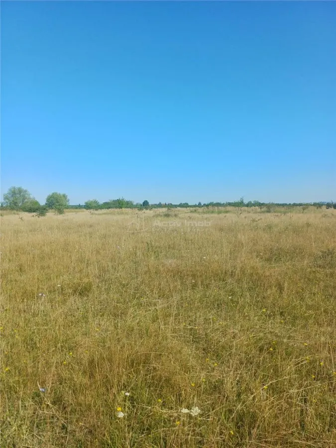 Teren intravilan de vanzare zona Magura Cisnadie - foto 8