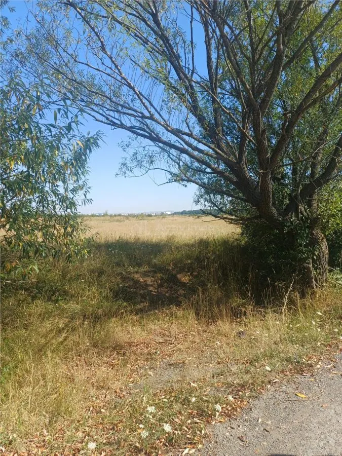 Teren intravilan de vanzare zona Magura Cisnadie - foto 10