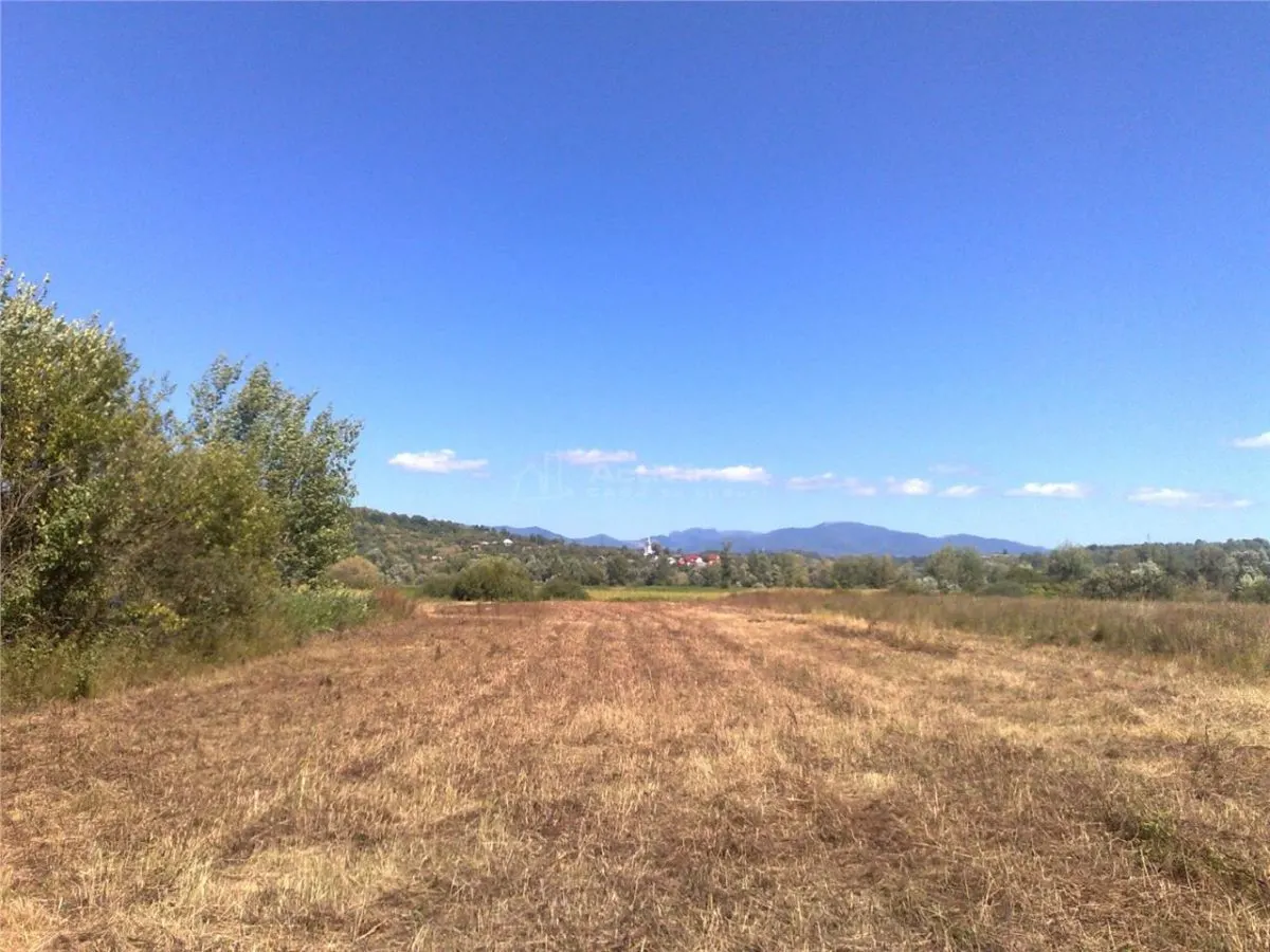 Teren intravilan 55 Ari Sacalaseni strada principala - foto 1