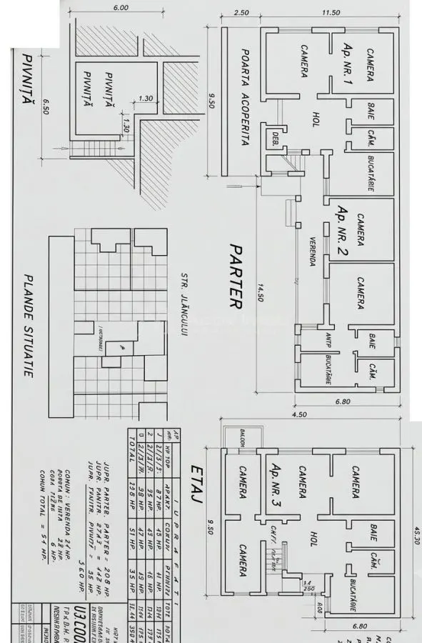 Imobil cu 3 apartamente - 270 mp construiti - langa Palatul Baroc – locuinta sau investitie - foto 2