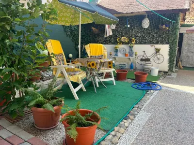 Lugoj, Casa Planta Baja con Patio Propio, 4 Habitaciones, Apto. Negocio + Vivienda, Centro - foto 7
