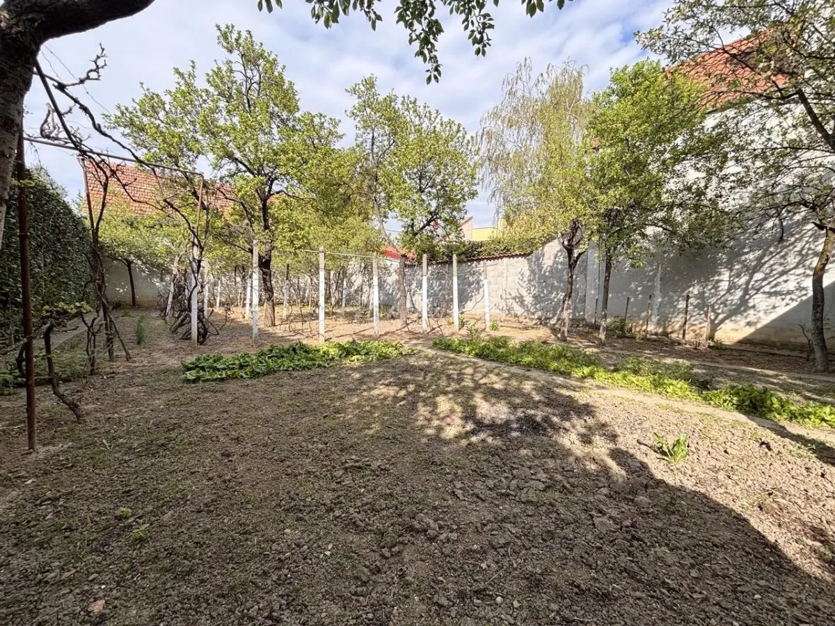 Casa pe un nivel, 500 mp teren, langa Palatul Baroc Oradea – zona foarte linistita - foto 3