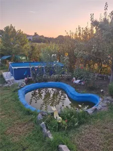 Casa parter - Comana Giurgiu - 4 camere - baie - 118mp - 600mp teren - foto 17