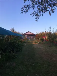 Casa parter - Comana Giurgiu - 4 camere - baie - 118mp - 600mp teren - foto 19