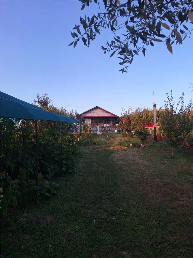 Casa parter - Comana Giurgiu - 4 camere - baie - 118mp - 600mp teren - foto 19