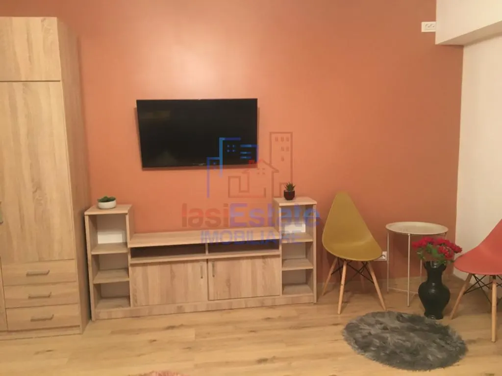 Apartamnet 1 Camera Nicolina - Prima Statie - foto 4