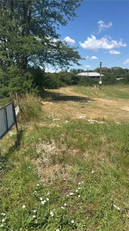 Soceni,Teren Chirie 250 Euro - Vanzare la Sosea Comision ZERO Cumparator - foto 3