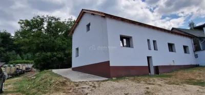 House / villa for sale sqm in Bocsa - foto 17