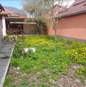 Casa - 3 camere - Codlea - Codlea