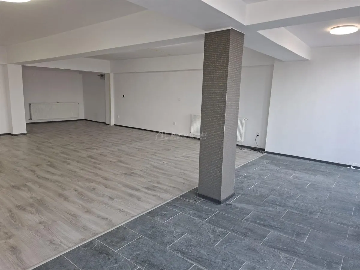 Spatiu comercial de inchiriat Calea Surii Mari - foto 3