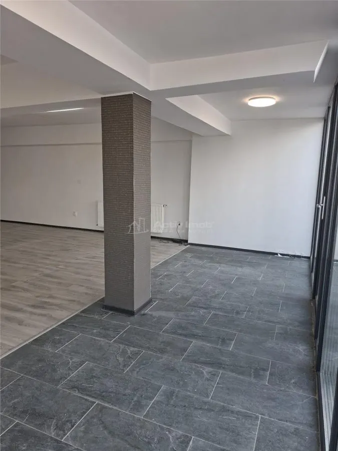 Spatiu comercial de inchiriat Calea Surii Mari - foto 5