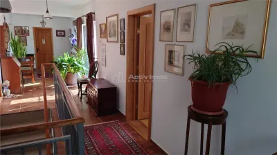 Casa tip Parter, amprenta 346 mp, teren 7241 mp, POGOANELE - foto 10