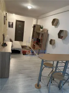 Apartament 2 Camere Valea Lupului - Carrefour Express - foto 6