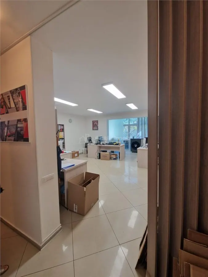 Apartment with 3 bedrooms for rent 100 sqm in Bucuresti, Herastrau area - foto 1