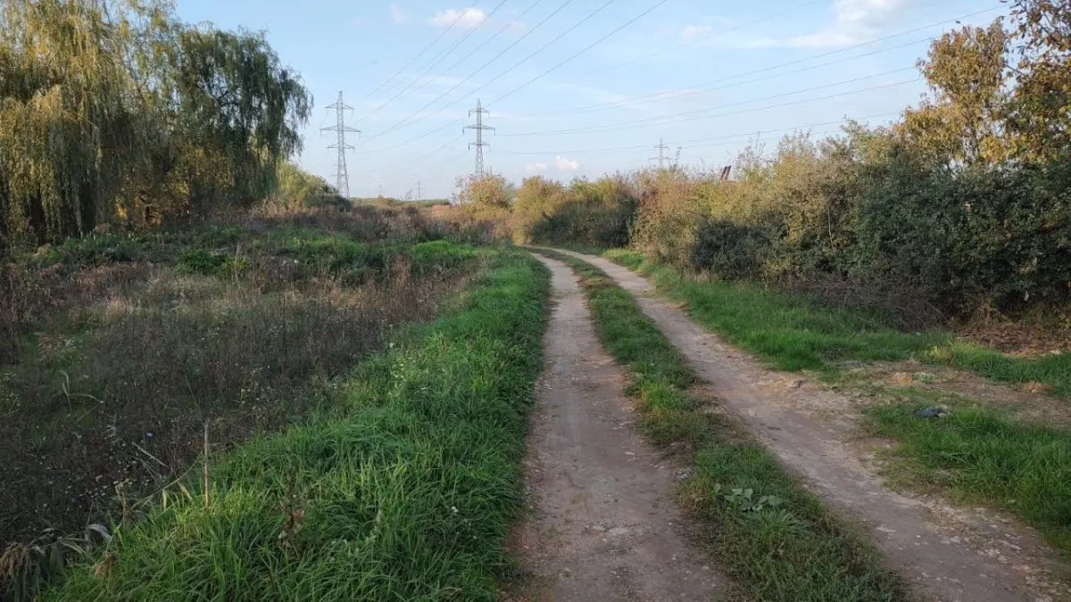 Teren Industrial ,Timisoara- Calea Buziasului - foto 1