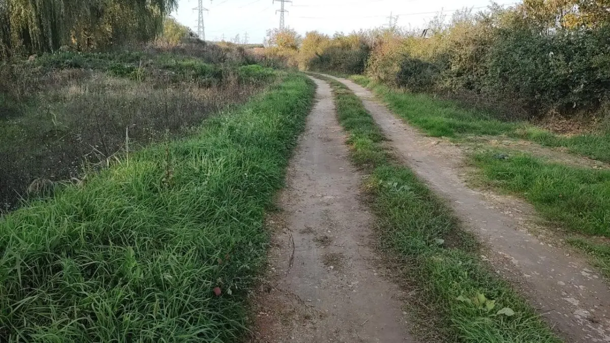 Teren Industrial ,Timisoara- Calea Buziasului - foto 5
