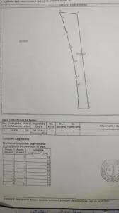 Teren Industrial ,Timisoara- Calea Buziasului - foto 6