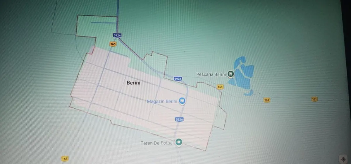 DE VANZARE TEREN IN BERINI IDEAL INVESTITIE PARC FOTOVOLTAIC - foto 2