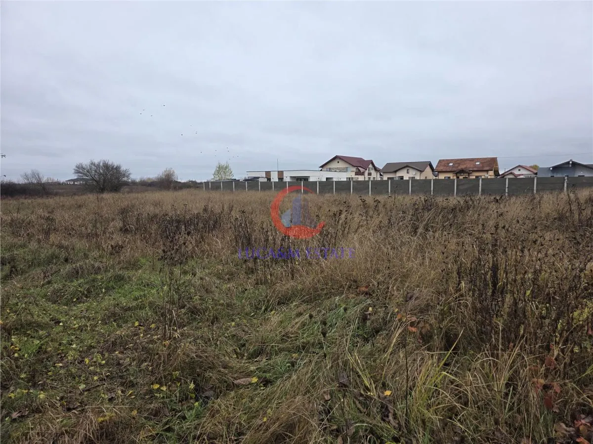 Teren intravilan de vânzare – Albina, Timis – 759 mp - foto 2