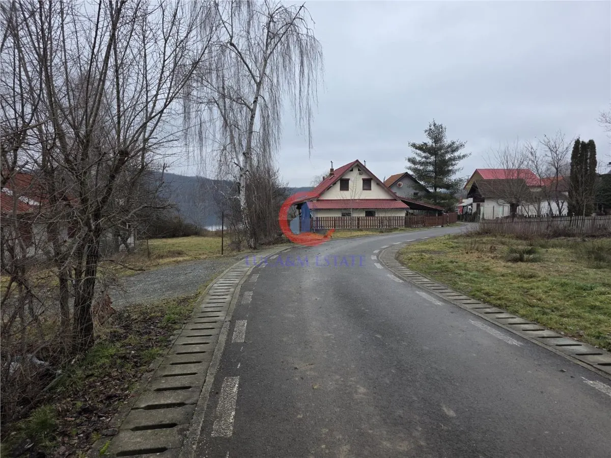 Terenuri zona Case de Vacanta Lacul Surduc timis - foto 6