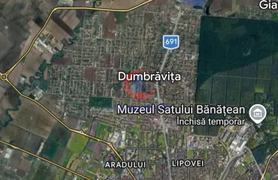 Vila, Dumbravita, Central - Dumbravita