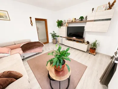 Casa individuala cu teren de 1.480 mp in Dumbravita - Dumbravita