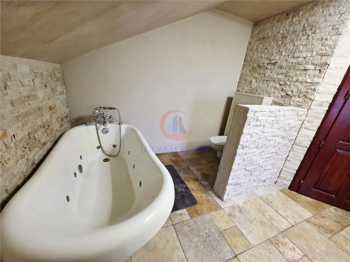 Vila, Cerneteaz, Teren Generos, Casa de Oaspeti, Beci, Garaj - foto 18