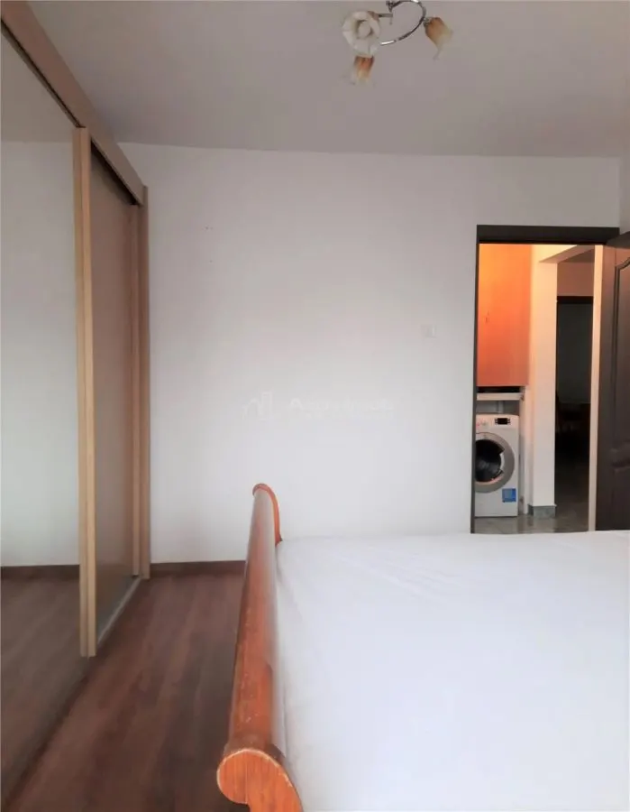 Chirie Apartament 3 Camere mobilat utilat Baia Mare Ultracentral - foto 8