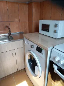 Studio 27 sqm Poarta Bucurestiului to Let - foto 7