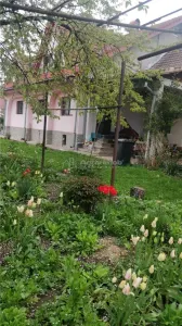 Penisune cu teren de 5.700 mp, Runcu - Cheile Sohodolului - foto 8