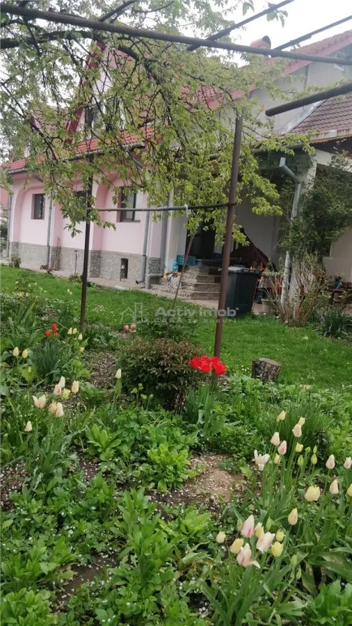 Penisune cu teren de 5.700 mp, Runcu - Cheile Sohodolului - foto 8