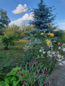 Penisune cu teren de 5.700 mp, Runcu - Cheile Sohodolului - foto 9